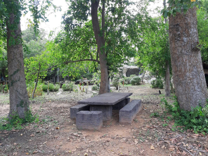 Others 5, Forest, Muang Roi Et