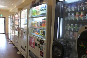 Others 5, ホテルグリーンプラザ浜名湖, Hamamatsu