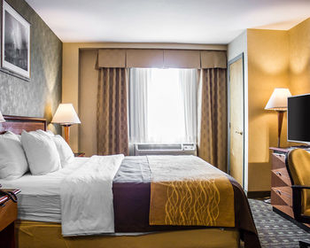 Others 4, Comfort Inn, New York