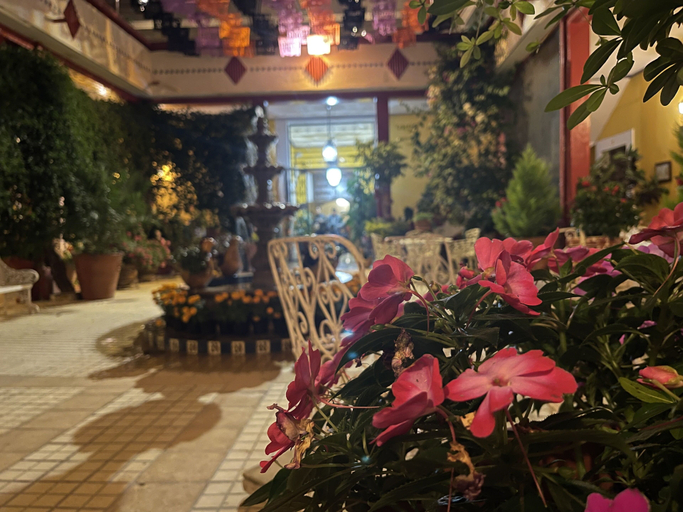 Terrace or patio 4, Copa de Oro Hotel Boutique, Mascota