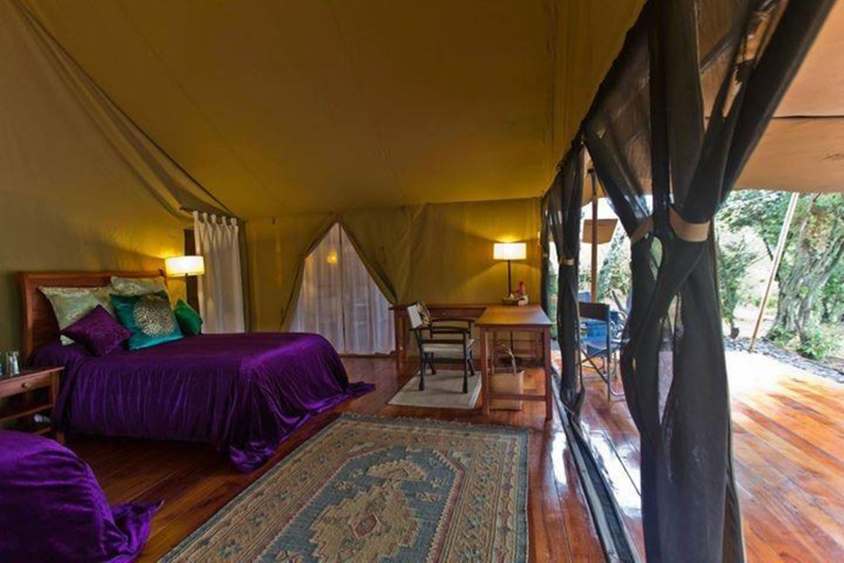 Bedroom 3, Mara Crossing Camp, Kilgoris
