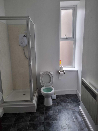 Bathroom, St Hilary Central Apartment, Conwy
