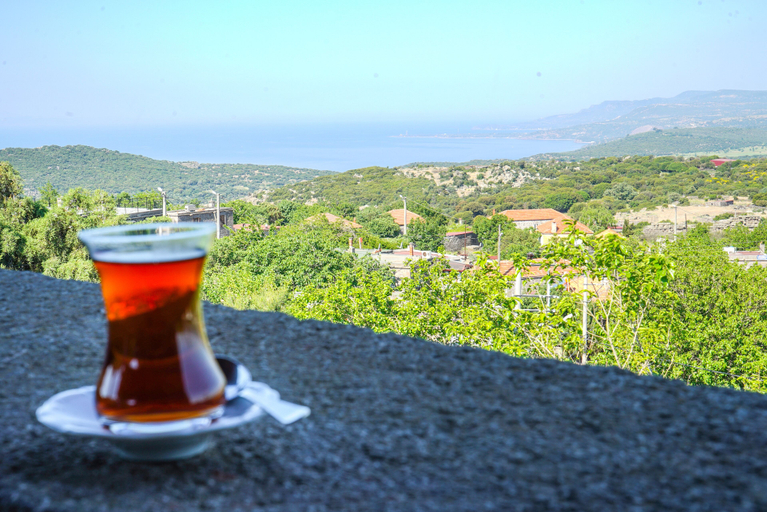 Others 1, BİBER EVİ, Ayvacık