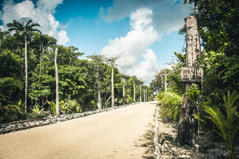 Exterior & Views 2, Roc Jungle Tulum, Cozumel