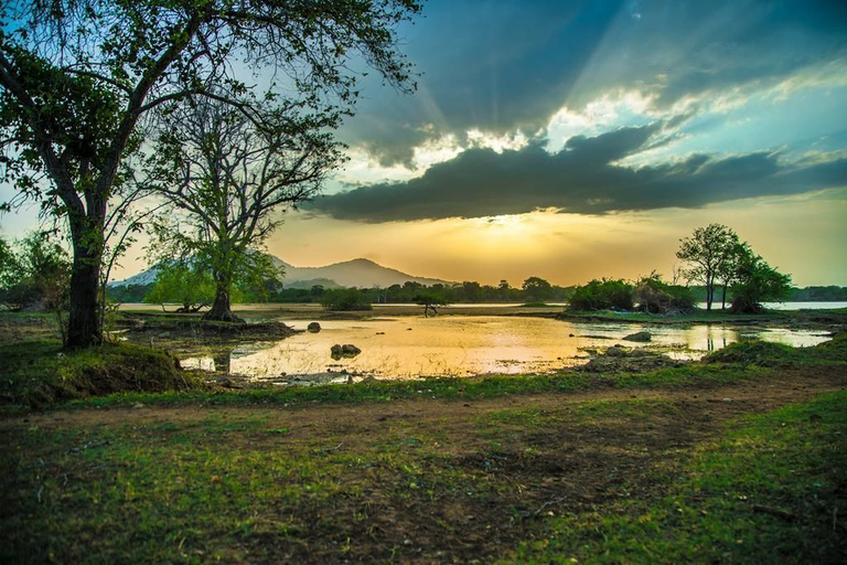 Exterior & Views 2, Wadula Safari Yala, Thissamaharama