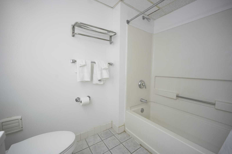 Bathroom, Greenwoods Inn & Suites, Camden