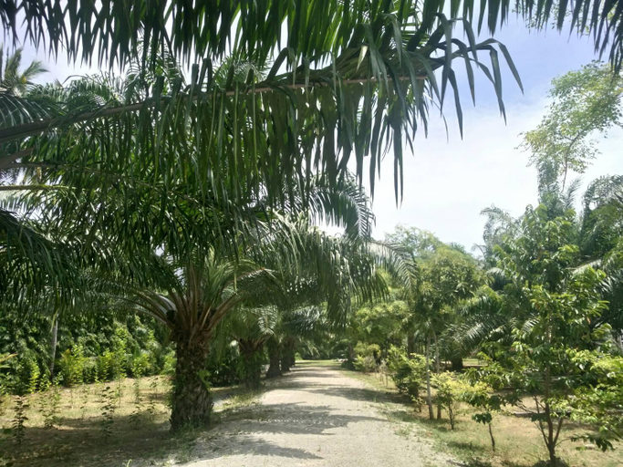 Others 5, Baan Suan Nam Resort and Restaurant, Don Sak