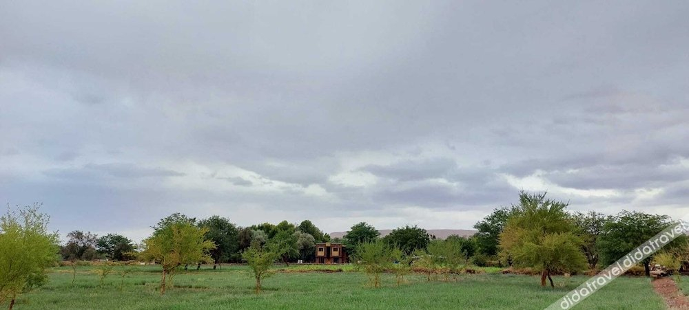 Others 4, Foresta Atacama Lodge, El Loa