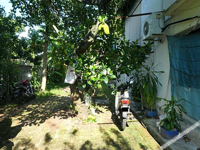 Others 5, Tit Motel, Kuala Muda