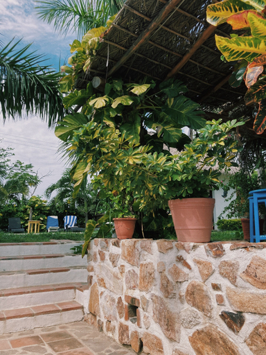 Others 2, Hotel el Risco, Dist. Pochutla
