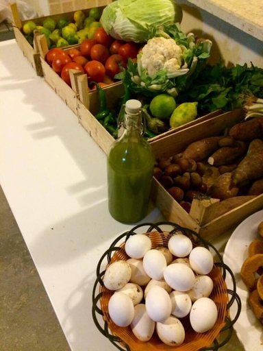 Food & Drinks 5, Dibeen Eco Farm House, Ajloun