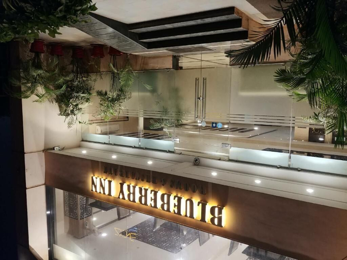 Food & Drinks 5, Blueberry Inn, Raipur