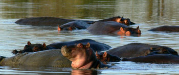 Others 4, Mahali Mzuri - All-Inclusive, Narok West
