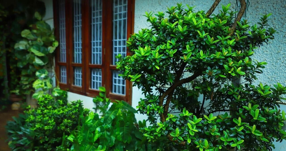 Exterior & Views 2, Nutshell Airport Retreat by the Sea, Thiruvananthapuram