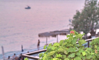 Others 4, Moireas Apartments, Peloponnese