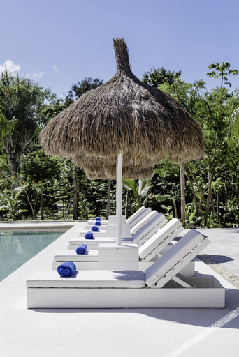 Sport & Beauty 2, Jungle Lodge Boutique Hotel Adults Only, Cozumel