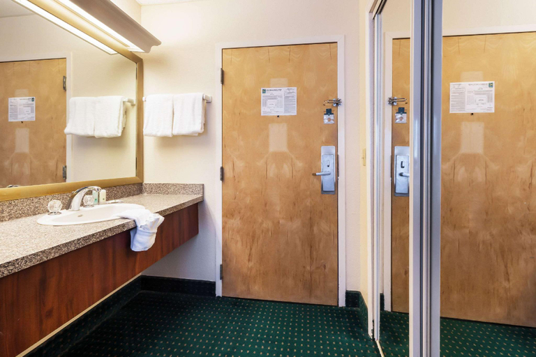 Bathroom, The Block215, Polk
