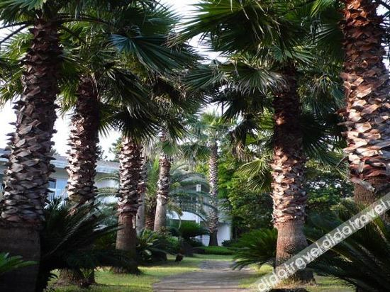 Others 1, springhill resort, Seogwipo