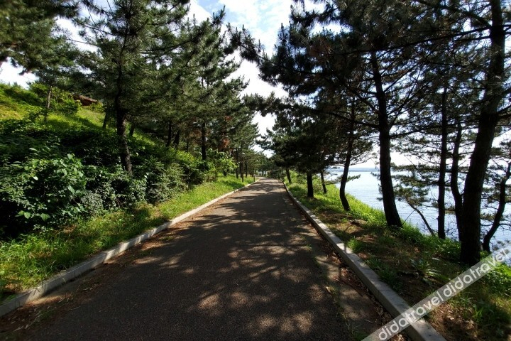 Others 3, Hotel Marine, Pohang