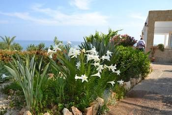 Others 4, Aphrodite Beach Hotel