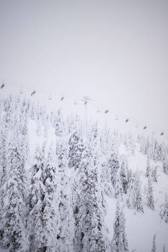 Snow and ski sports, LARCH HOUSE, Flathead