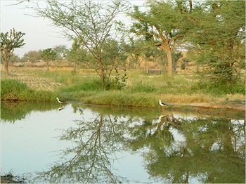 Others 3, The Desert Resort, Jhunjhunun