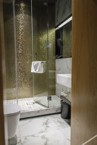 Bathroom 3, Gamma Boutique-Hotel, Sankt-Peterburg gorsovet