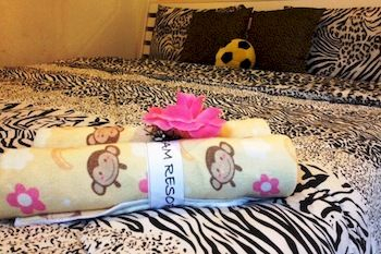 Others 4, Follow Dream Resort, Muang Nakhon Ratchasima