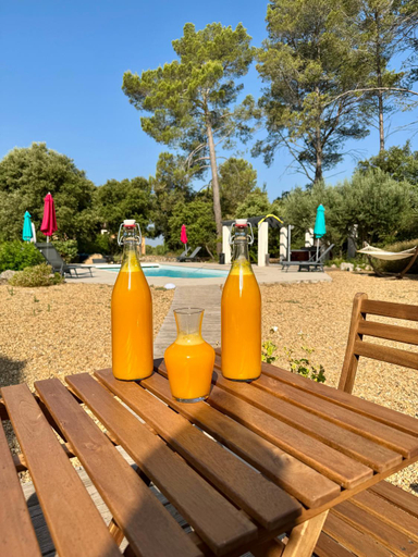 Food and beverages 2, CARPE DIEM Residence Hoteliere, Var