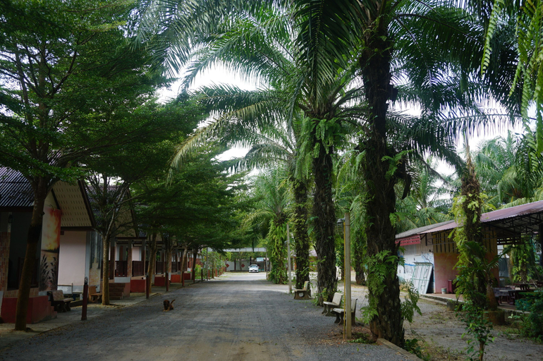 Exterior & Views 1, Thumneab Guesthouse, Khiri Ratthanikhom