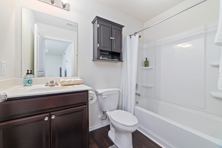 Bathroom 3, ECLIPZ Modern CEO Corp House, Houston