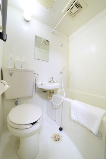 Bathroom 5, Exsaison Shirokita 308, Wazuka