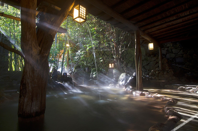 Others 3, Ikoi Ryokan, Minamioguni