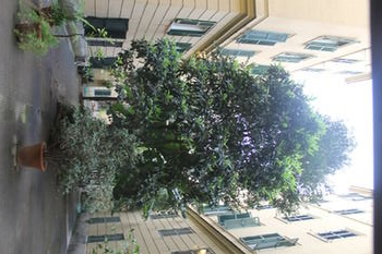 Others 2, Rovati Guest House, Roma