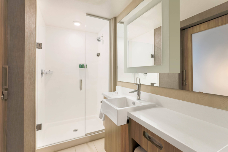 Bathroom 2, SpringHill Suites Tallahassee North, Leon