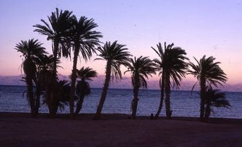 Others 2, Star Of Dahab Hotel, Sant Katrin