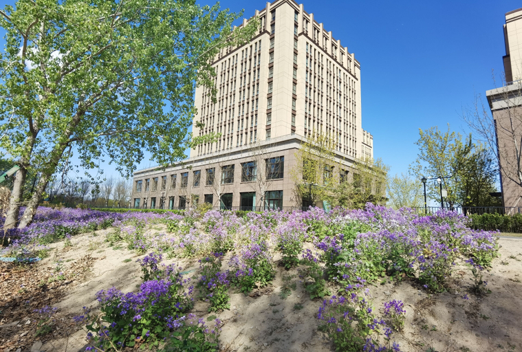 Exterior & Views, InternationalSeedIndustryTrainingCenter, Beijing