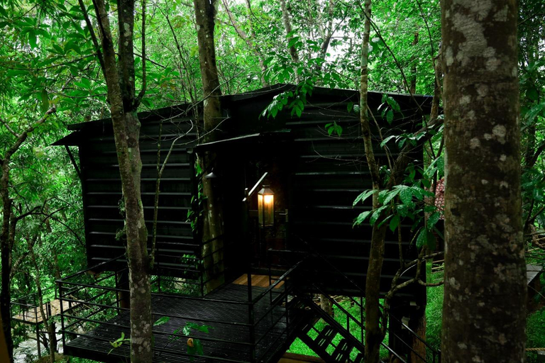 Others, Ranches Jungle Beats, Wayanad