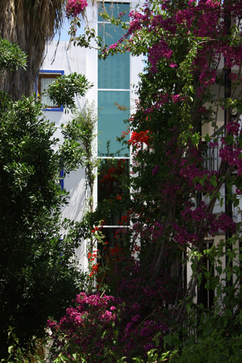 Exterior & Views 1, Sami Beach Hotel, Bodrum