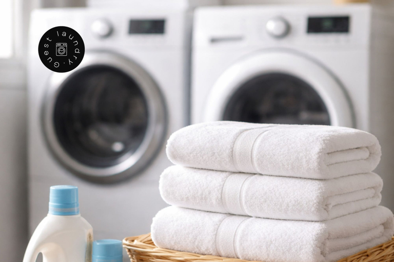 Room 5, Olive Country Living - 401 PH, Retiro
