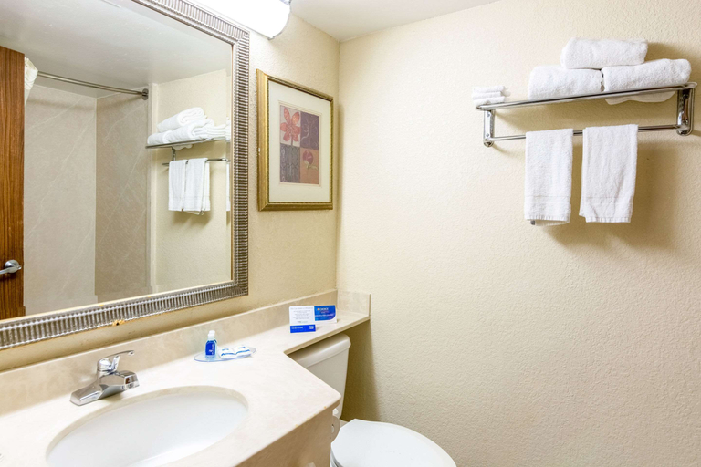 Bathroom 4, Rodeway Inn Central, Richmond