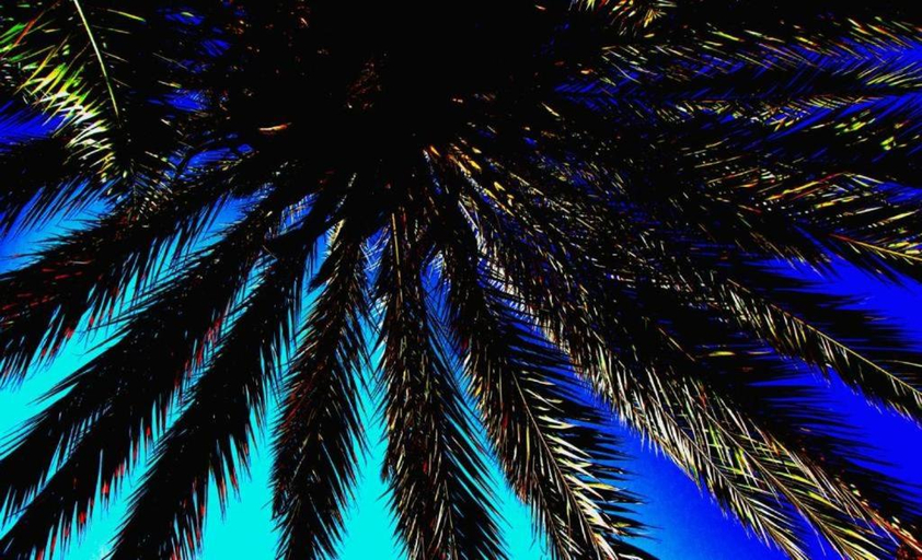 Others 5, le petit yucca - chambre groovy, Tiznit