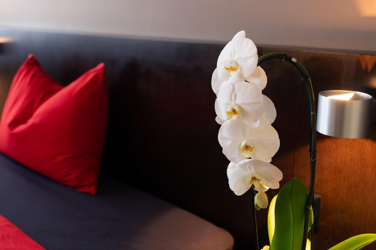 4, HOTEL QUERS INN, Pfäffikon