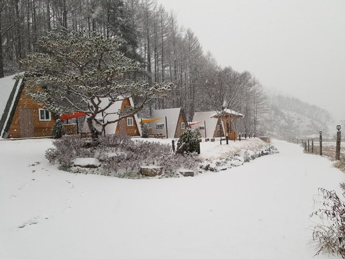 Exterior & Views 4, Chuncheon Buzz Glamping & Pension, Gapyeong