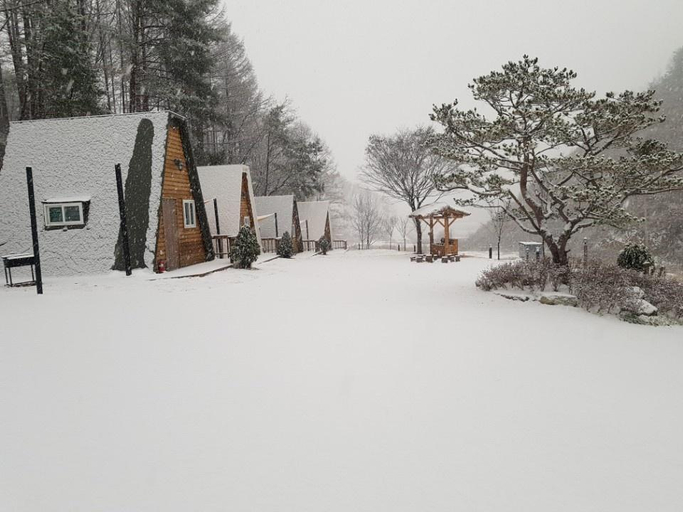 Others 4, Chuncheon Buzz Glamping & Pension, Gapyeong