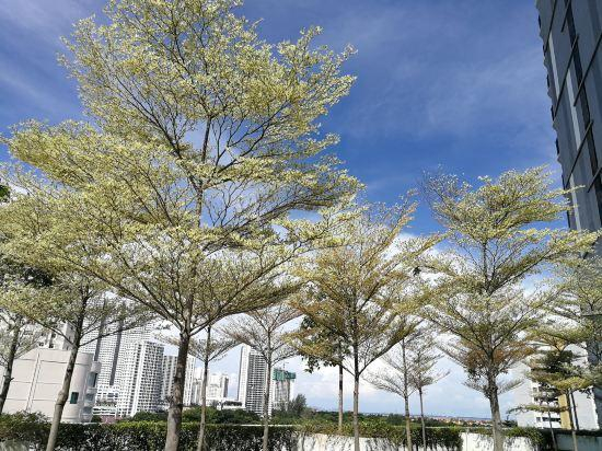 4, Landmark by Homey Planet 3BR Family Suite(B), Penang Island