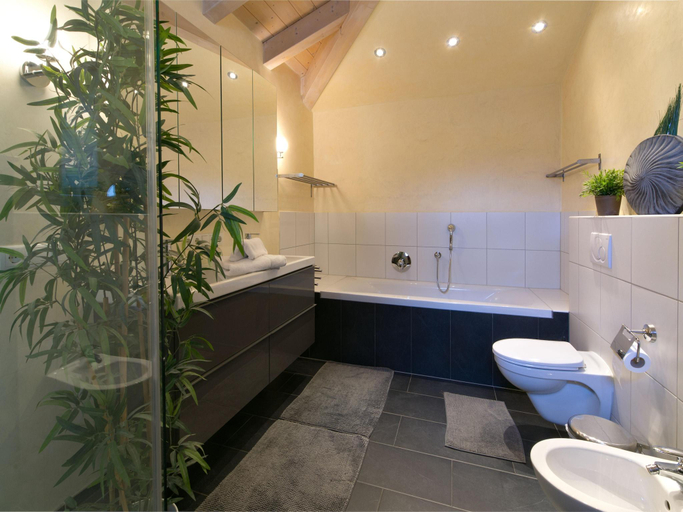 Bathroom 2, Apartment in Seefeld near Rosshutte Ski Resort, Innsbruck Land