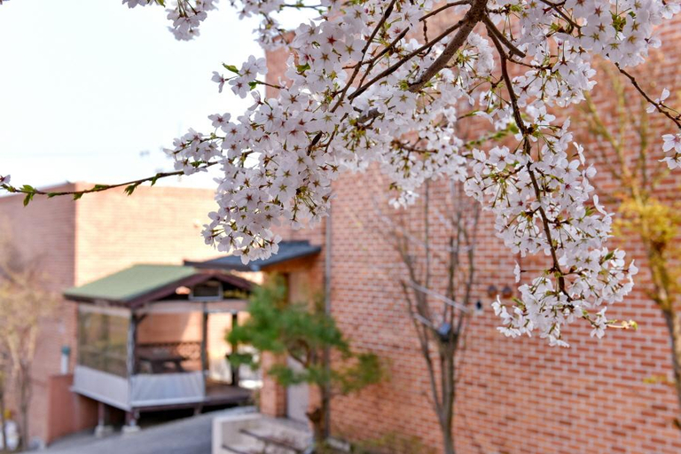 Others, Yesan Jeongdaun Pension, Yesan