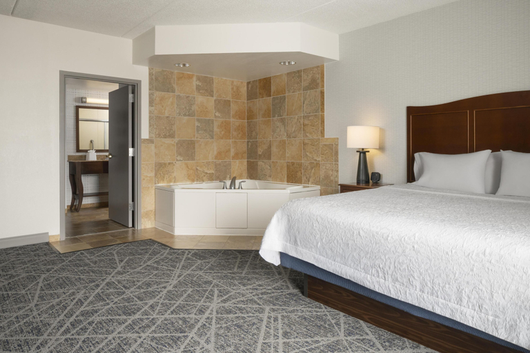 Bedroom 5, Hampton Inn Elmira/Horseheads, Chemung