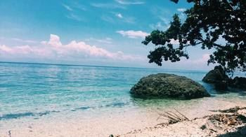 Others 5, Fantasy Lodge Samboan Cebu, Samboan